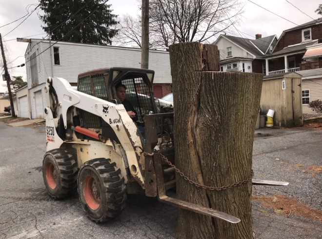 a skid steer transporting the tree cutting