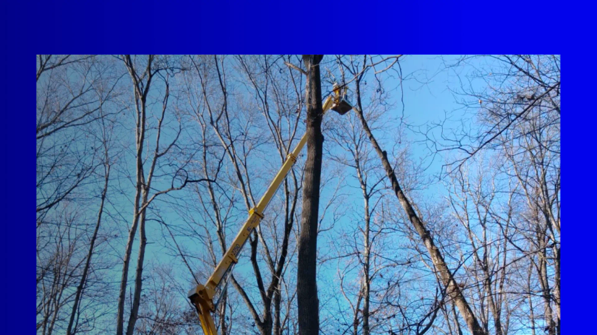 tree removal with bucket truck new hero